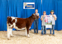 Ontario Shorthorns