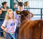 Ontario Shorthorns