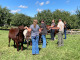 Ontario Shorthorns